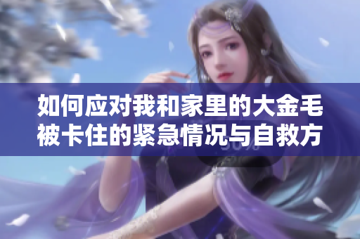 如何应对我和家里的大金毛被卡住的紧急情况与自救方法