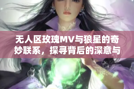 无人区玫瑰MV与狼星的奇妙联系，探寻背后的深意与情感