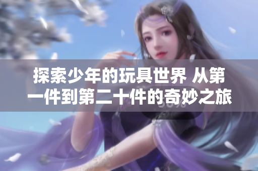 探索少年的玩具世界 从第一件到第二十件的奇妙之旅