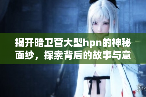 揭开暗卫营大型hpn的神秘面纱，探索背后的故事与意义