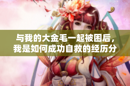 与我的大金毛一起被困后，我是如何成功自救的经历分享