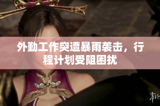 外勤工作突遭暴雨袭击，行程计划受阻困扰