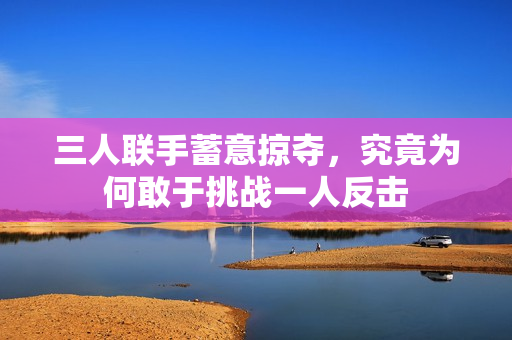 三人联手蓄意掠夺，究竟为何敢于挑战一人反击