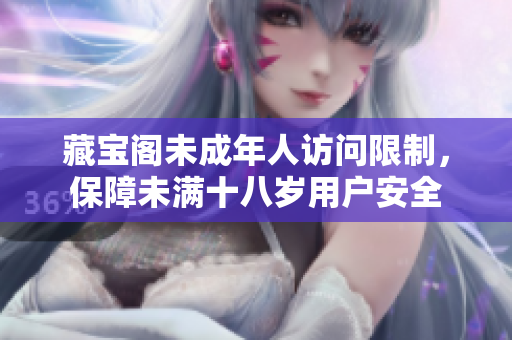 藏宝阁未成年人访问限制，保障未满十八岁用户安全