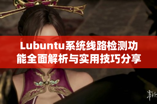 Lubuntu系统线路检测功能全面解析与实用技巧分享