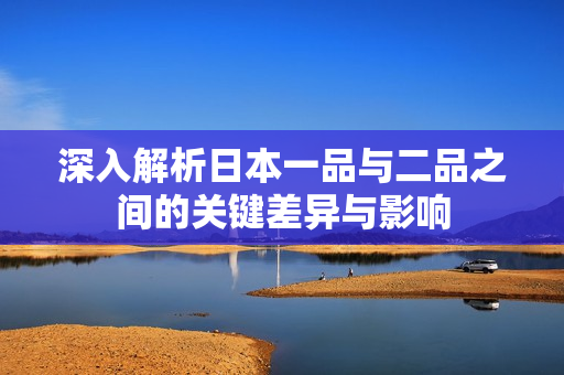 深入解析日本一品与二品之间的关键差异与影响
