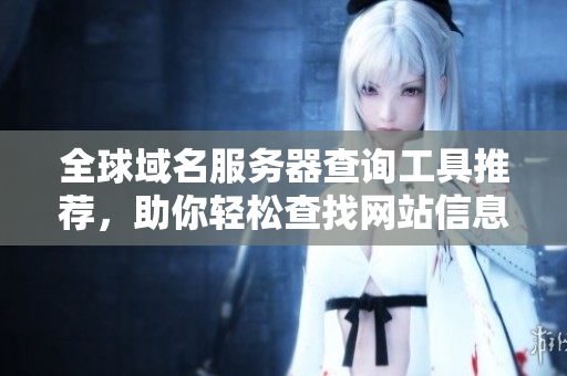 全球域名服务器查询工具推荐，助你轻松查找网站信息