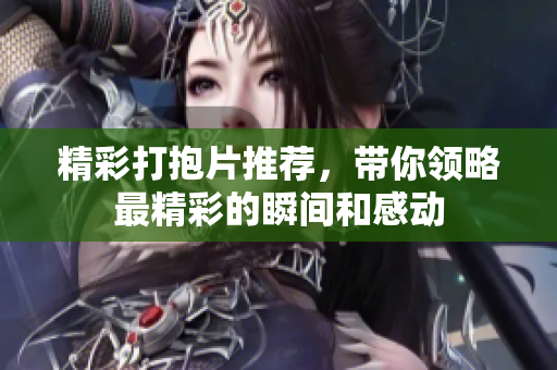 精彩打抱片推荐，带你领略最精彩的瞬间和感动