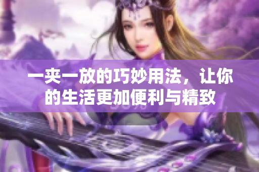 一夹一放的巧妙用法，让你的生活更加便利与精致