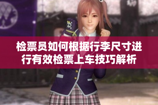 检票员如何根据行李尺寸进行有效检票上车技巧解析