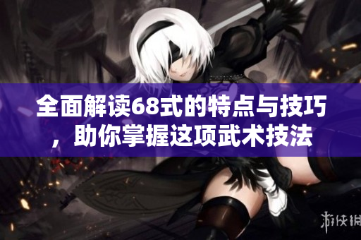 全面解读68式的特点与技巧，助你掌握这项武术技法
