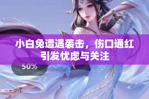 小白兔遭遇袭击，伤口通红引发忧虑与关注