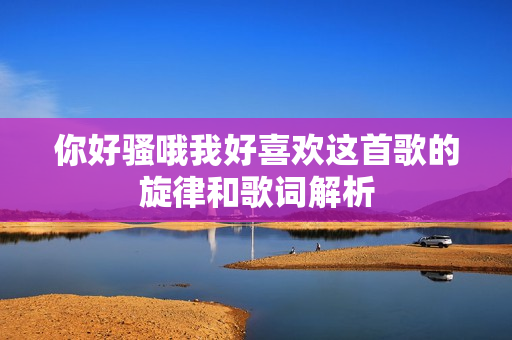 你好骚哦我好喜欢这首歌的旋律和歌词解析