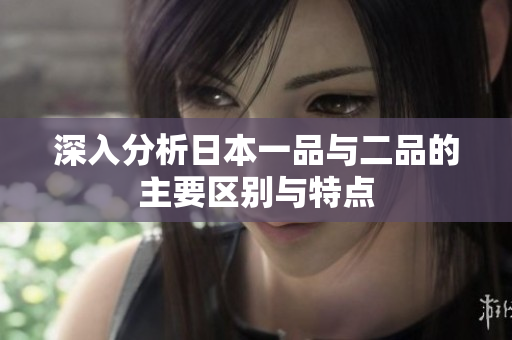 深入分析日本一品与二品的主要区别与特点