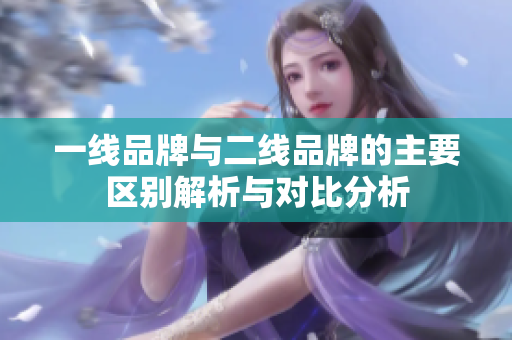 一线品牌与二线品牌的主要区别解析与对比分析