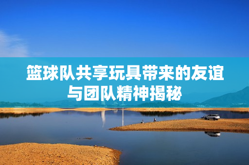 篮球队共享玩具带来的友谊与团队精神揭秘