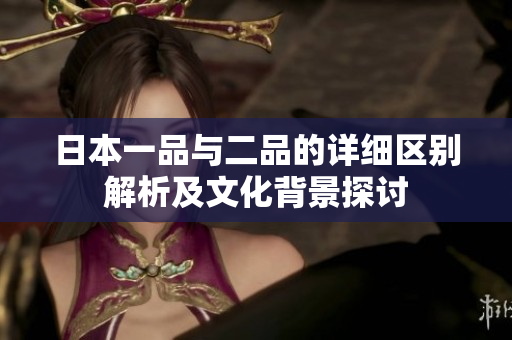 日本一品与二品的详细区别解析及文化背景探讨