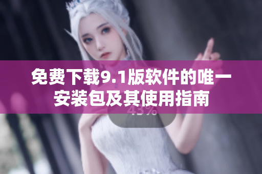 免费下载9.1版软件的唯一安装包及其使用指南