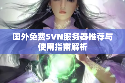 国外免费SVN服务器推荐与使用指南解析