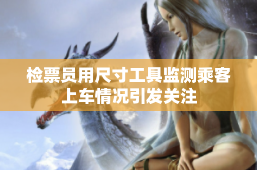 检票员用尺寸工具监测乘客上车情况引发关注