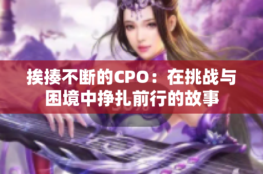 挨揍不断的CPO：在挑战与困境中挣扎前行的故事