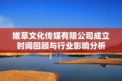 嫩草文化传媒有限公司成立时间回顾与行业影响分析