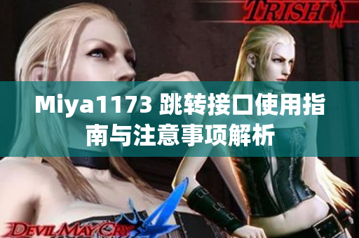 Miya1173 跳转接口使用指南与注意事项解析