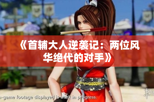 《首辅大人逆袭记：两位风华绝代的对手》