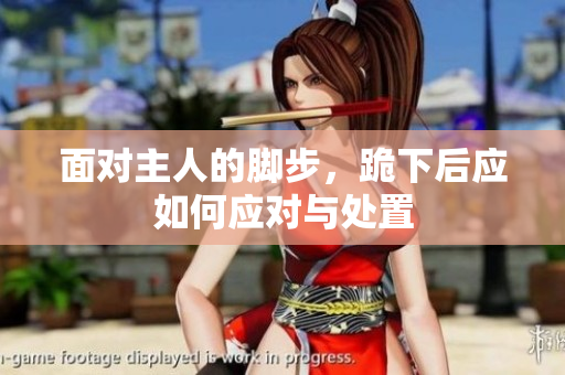 面对主人的脚步，跪下后应如何应对与处置