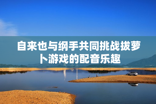 自来也与纲手共同挑战拔萝卜游戏的配音乐趣