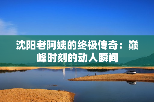 沈阳老阿姨的终极传奇：巅峰时刻的动人瞬间