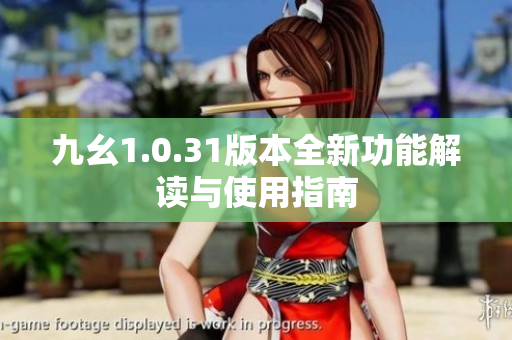 九幺1.0.31版本全新功能解读与使用指南