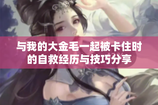 与我的大金毛一起被卡住时的自救经历与技巧分享
