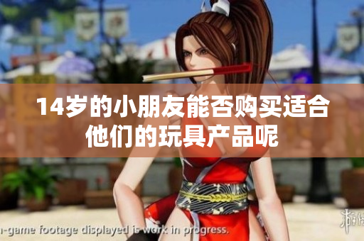 14岁的小朋友能否购买适合他们的玩具产品呢