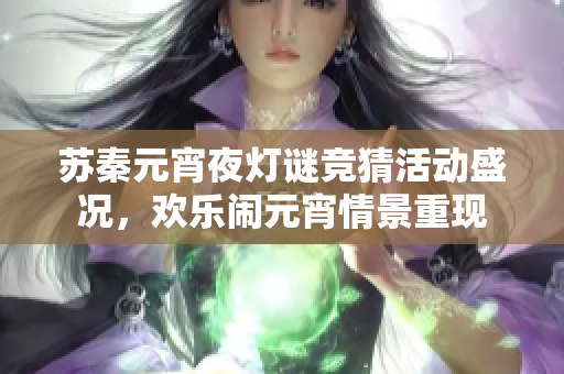 苏秦元宵夜灯谜竞猜活动盛况，欢乐闹元宵情景重现
