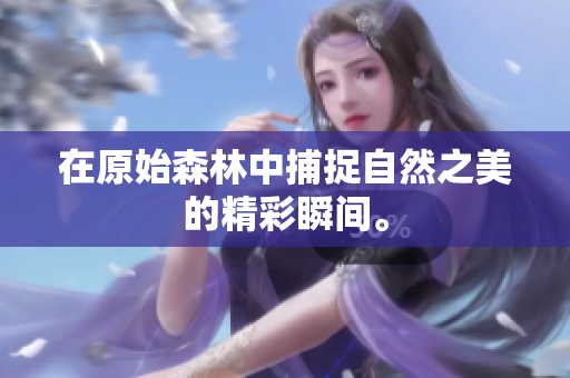 在原始森林中捕捉自然之美的精彩瞬间。