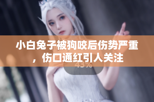 小白兔子被狗咬后伤势严重，伤口通红引人关注
