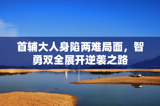 首辅大人身陷两难局面，智勇双全展开逆袭之路