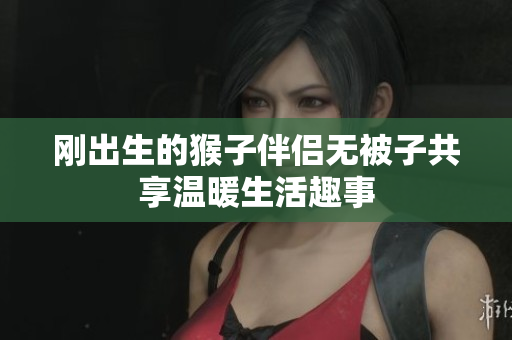 刚出生的猴子伴侣无被子共享温暖生活趣事