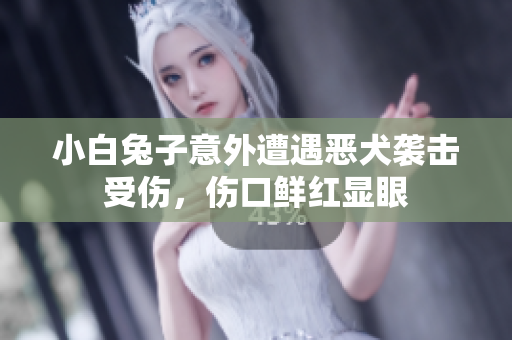 小白兔子意外遭遇恶犬袭击受伤，伤口鲜红显眼