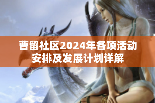 曹留社区2024年各项活动安排及发展计划详解