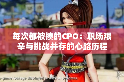 每次都被揍的CPO：职场艰辛与挑战并存的心路历程