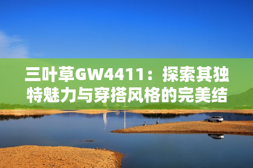 三叶草GW4411：探索其独特魅力与穿搭风格的完美结合