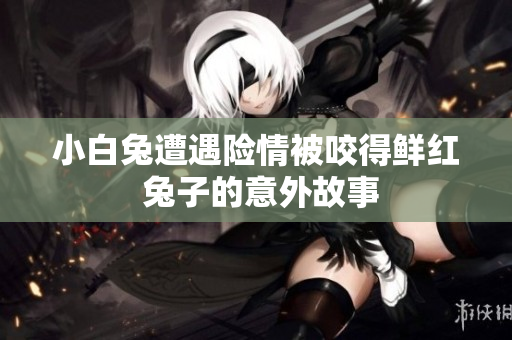 小白兔遭遇险情被咬得鲜红 兔子的意外故事