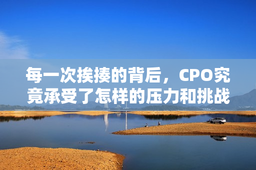 每一次挨揍的背后，CPO究竟承受了怎样的压力和挑战