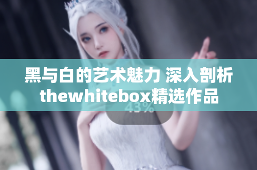 黑与白的艺术魅力 深入剖析thewhitebox精选作品