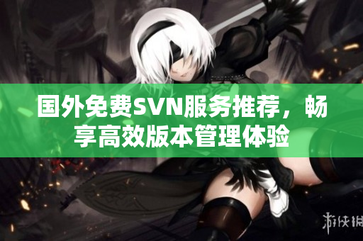 国外免费SVN服务推荐，畅享高效版本管理体验