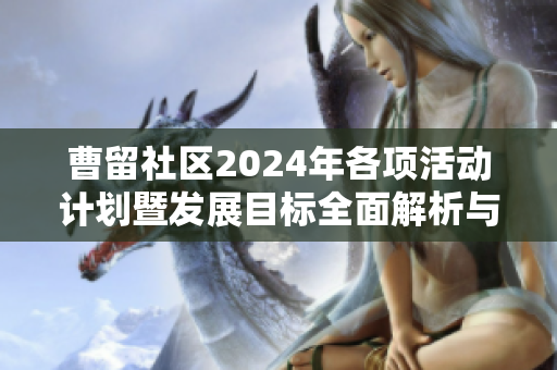 曹留社区2024年各项活动计划暨发展目标全面解析与展望