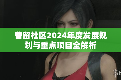 曹留社区2024年度发展规划与重点项目全解析