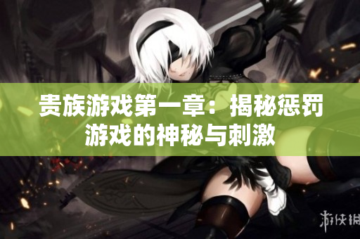 贵族游戏第一章：揭秘惩罚游戏的神秘与刺激